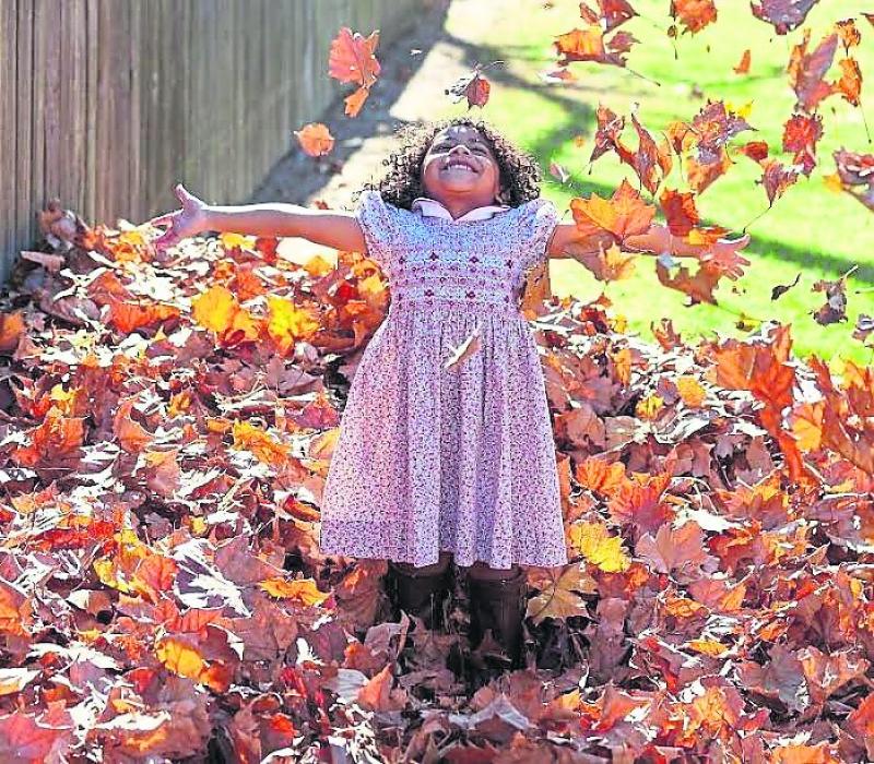 Me & You: Autumn leaves are falling down