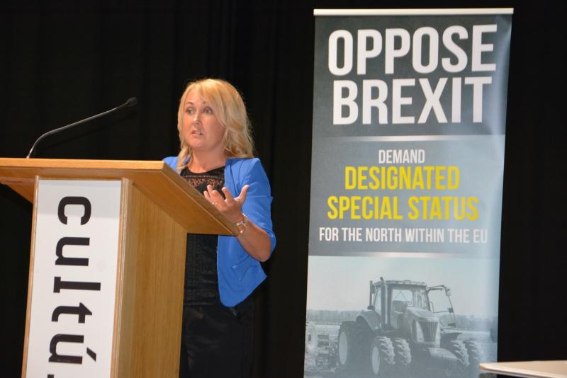 Ferguson: Protocol is a boost for North's economy