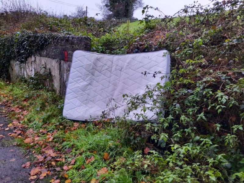 'Illegal dumping is a blight on our community'