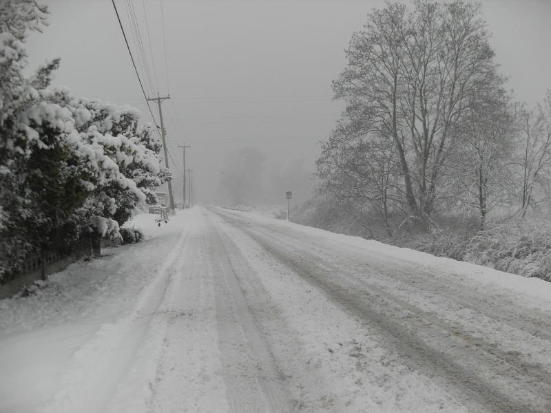 Stormy winds and snow in Met Éireann's weather advisory for Ireland next week 
