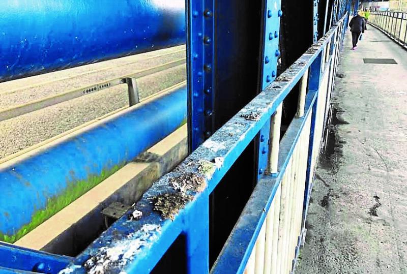 Go ahead given for work to tackle Derry bridge's pigeon dropping problem