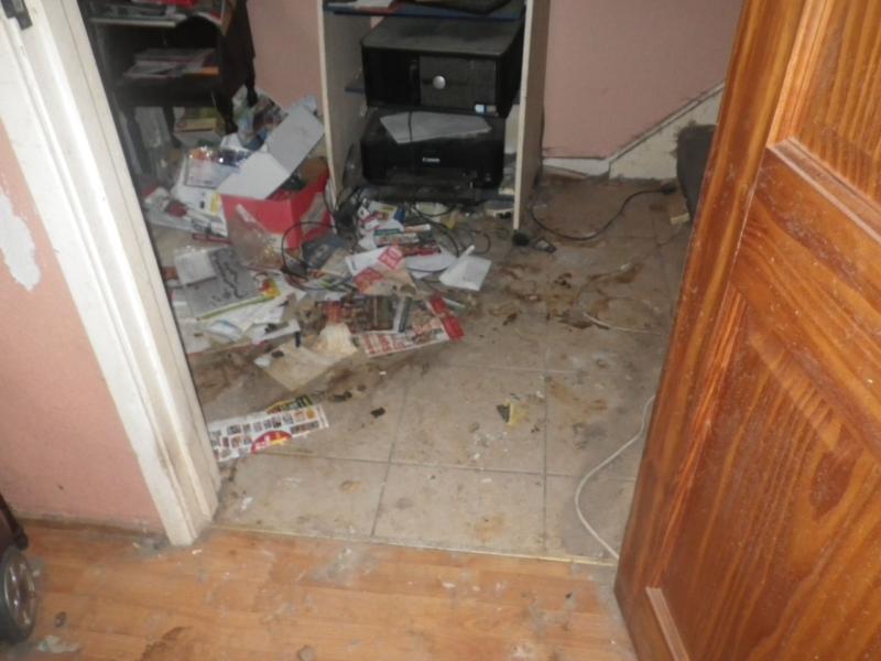 GRUESOME IMAGE WARNING - County Derry man banned from keeping animals for five years after causing unnecessary suffering to dog