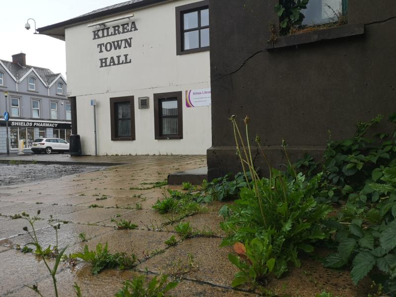 Council grass cutting and weeding 'the worst in a long time'