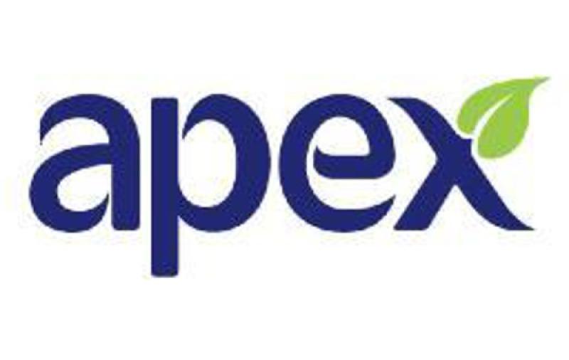 apex
