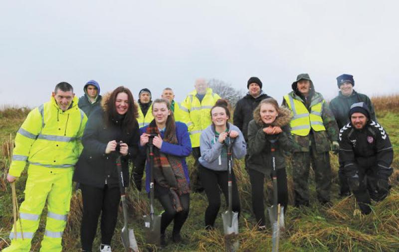 Tree planting in Derry.