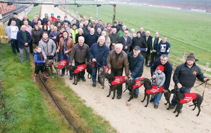 brandywellgreyhounds