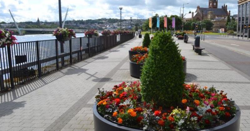 ulster in bloom