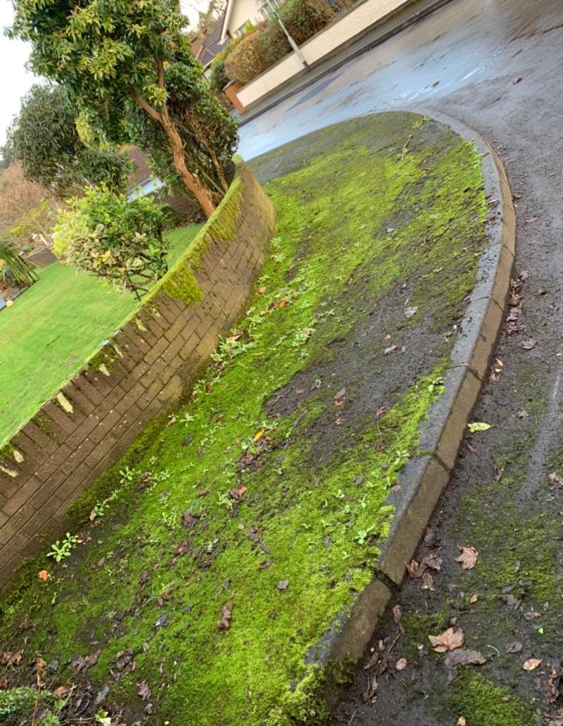 Mount Pleasant footpaths hit by moss growth