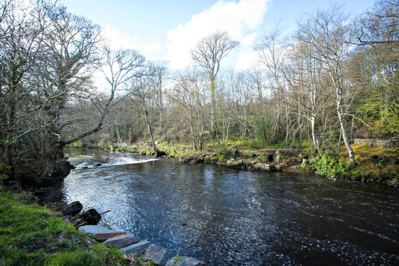 Powerful artworks to energise Buncrana's Swan Park