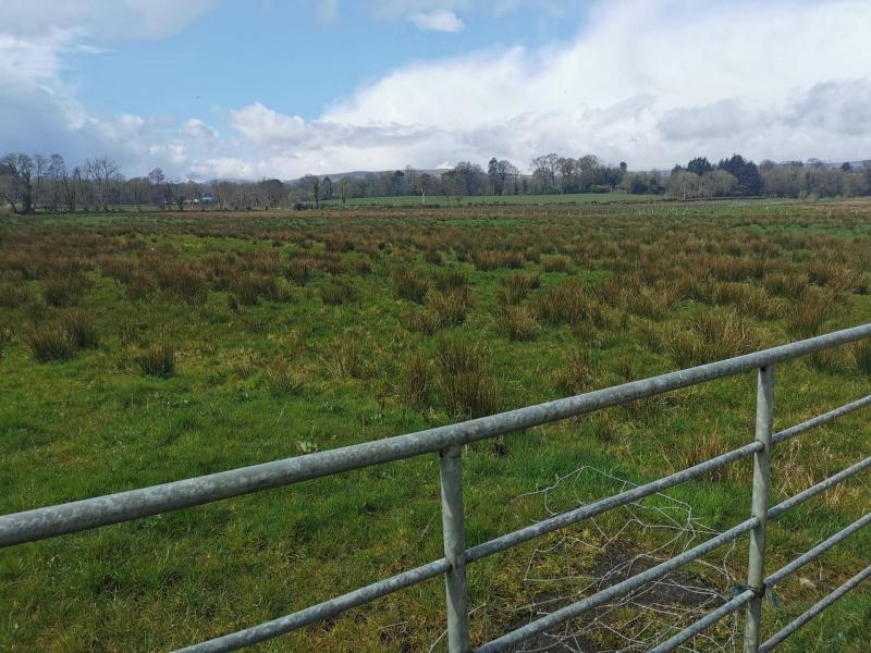 Residents urged to have their say on Greenspace Masterplan