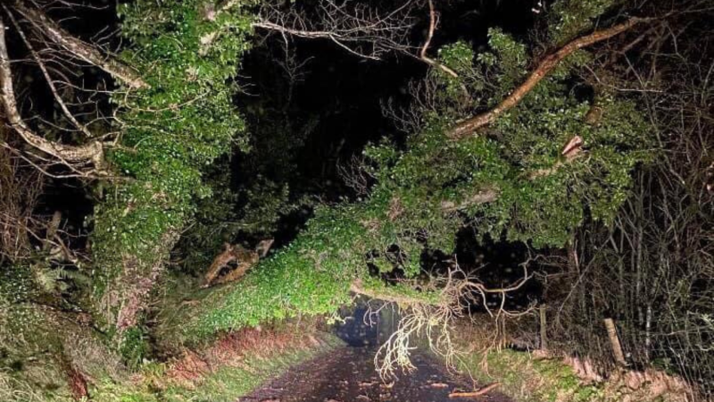 LATEST: Power cuts, flooding and trees 'falling like dominoes' after Storm Franklin