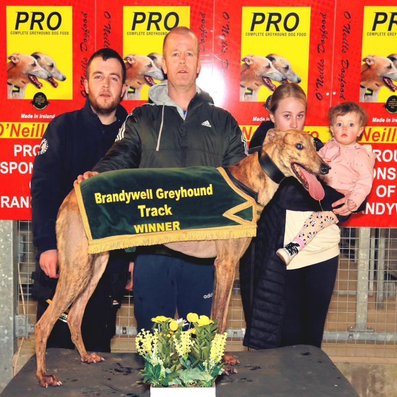 Derry Greyhounds: Jay’s Titanic performance on Track Lotto Night