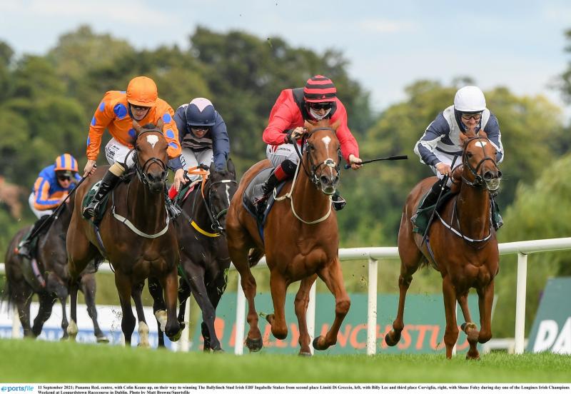 RACING: The horses worth a bet as the flat returns to Leopardstown this weekend