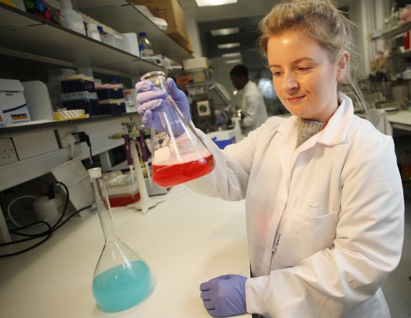 County Derry scientist takes on six-figure research project