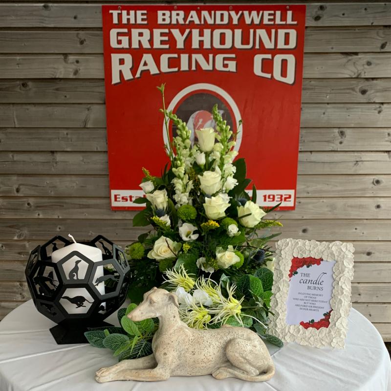 Derry Greyhounds: Beautiful Peggy honours her namesake on Remembrance Night