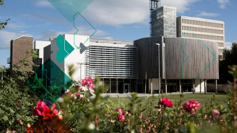 Men aged between 20 and 45 being offered £200 to help with nutrition research at Ulster University