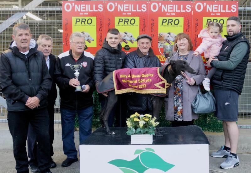 Derry Greyhounds: Peace reigns supreme on Memorial Gala Night at Brandywell