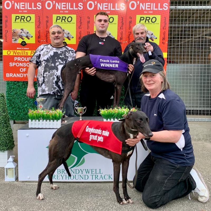 Derry Greyhounds: Runalong Ruby hands over the racing baton to Boherna Rio