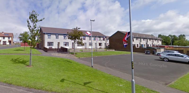 Petrol bombs thrown at a house in County Derry
