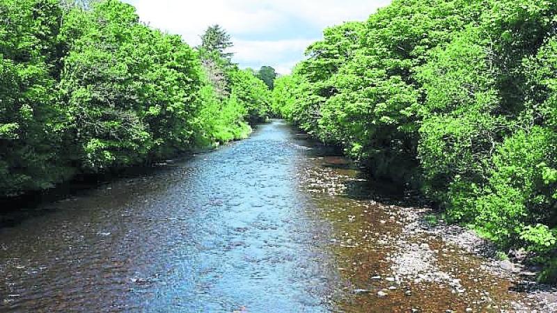 As temperatures soar, loughs Agency issues advice to local anglers