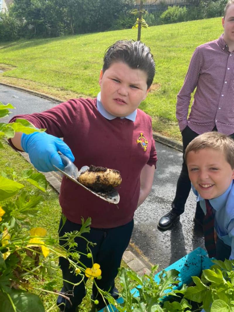 Pupils of St Eithne's Primary  School doing their bit to make the community more Eco Friendly