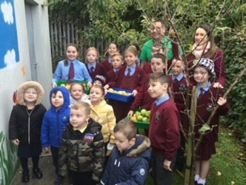 Ecolive: Gardening Club a great hit for St John's Primary School pupils
