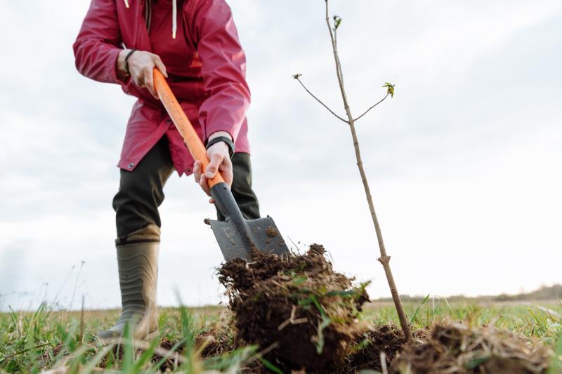 Funding available to support environmental sustainability initiatives in Derry