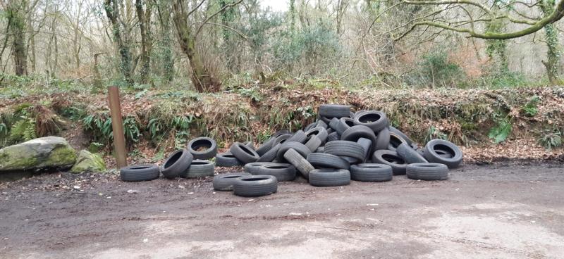 Council called on to take action after latest illegal dumping incident in Muff