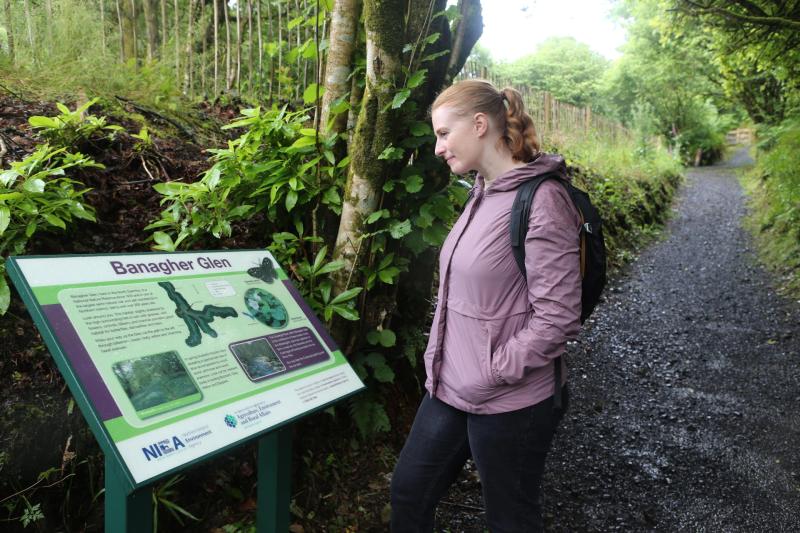 New enhanced visitor experience for popular County Derry woodlands