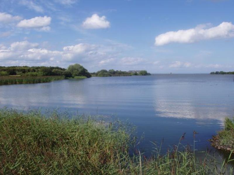 Save Lough Neagh campaign group to hold rally and white line protest in Toomebridge this weekend