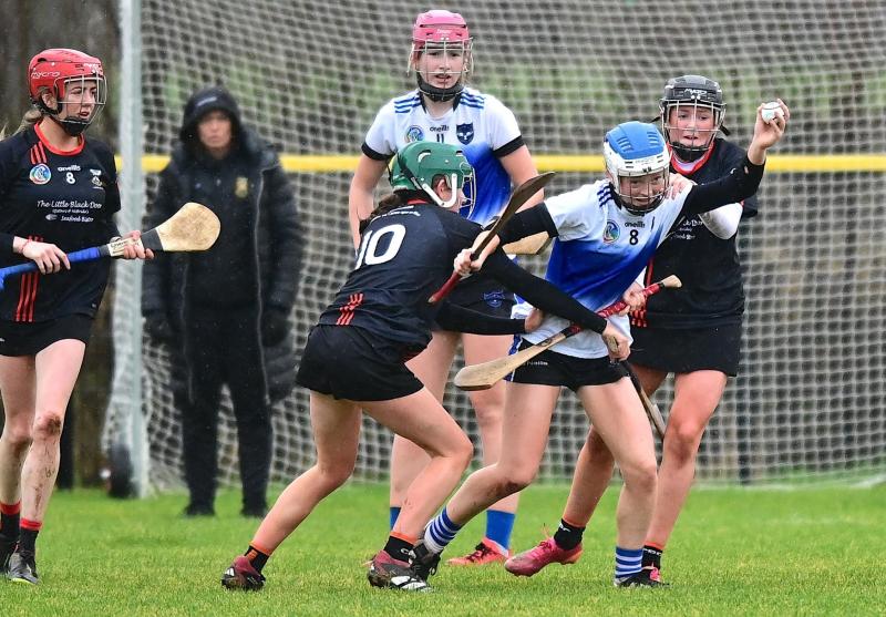 Maghera reach yet another camogie final