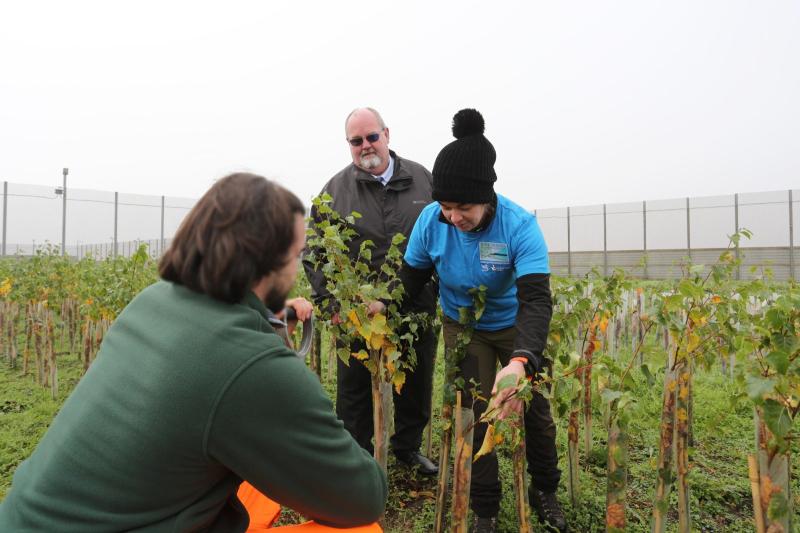 Tree Nursery based at HM Prison Magilligan