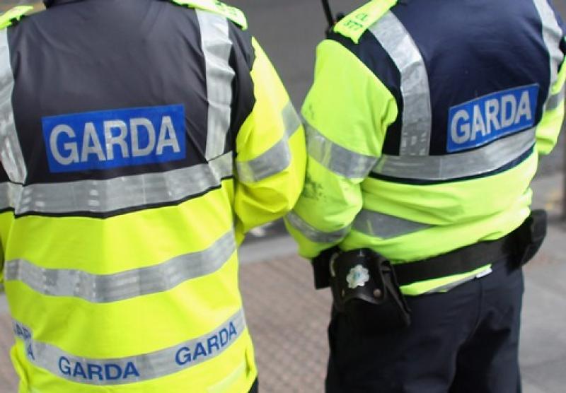 Garda&iacute; thank public after missing boys found safe
