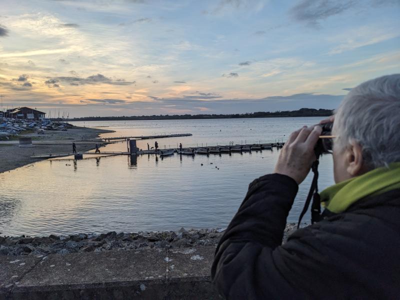 BTO Winter Gull Survey /photo: Teresa Frost