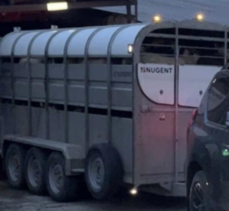 Appeal after cattle trailer stolen from farmyard