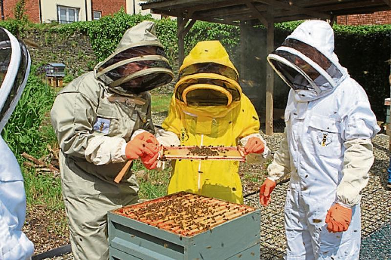 Derry and District Beekeeping Association launch new introductory course