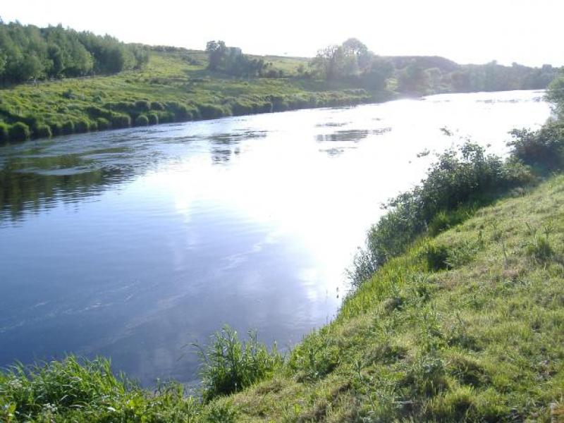 River Foyle/photo: DAERA
