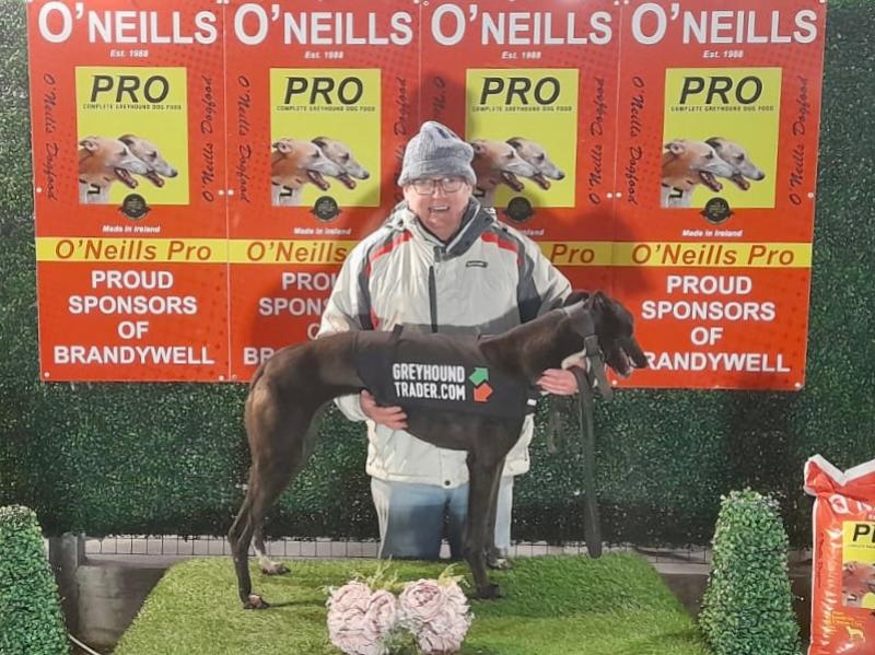 Cals Range hits the bullseye in Greyhound Trader Stake