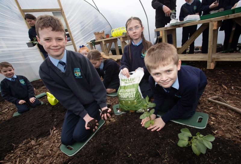Green-fingered Hollybush PS pupils launch new food growing garden project