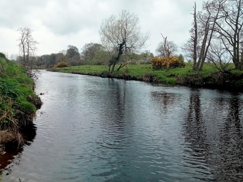 River Roe, from Limavady to Dungiven, has been classified as having poor ecological health
