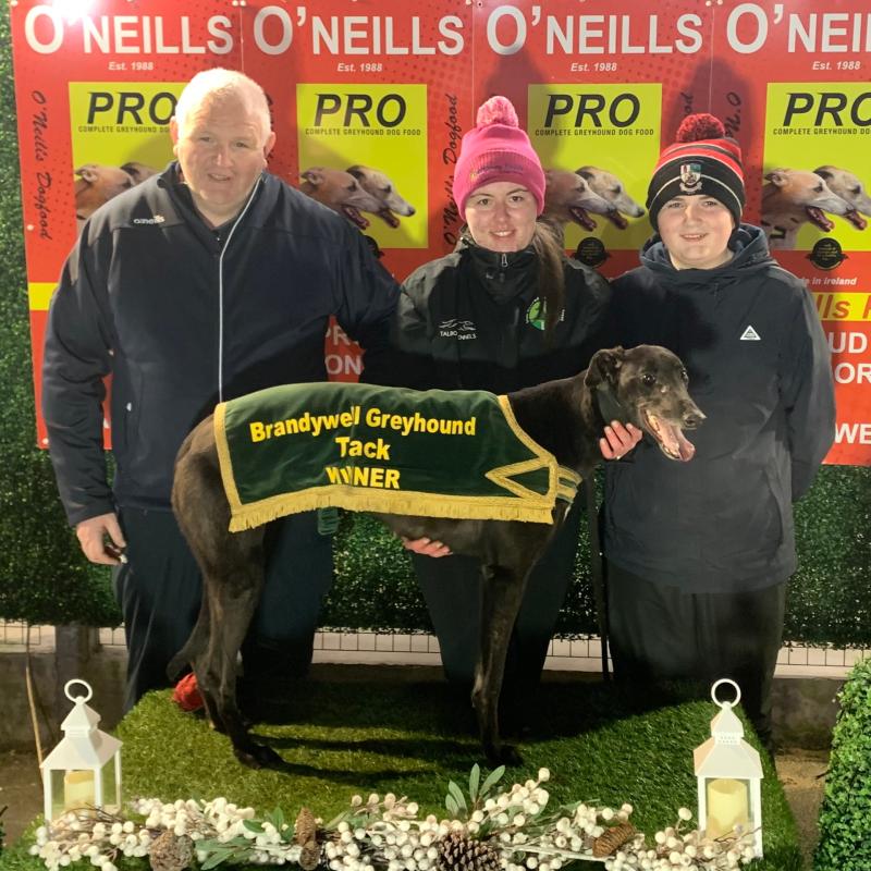 Flyer gathered no Moss when racing to victory at Brandywell