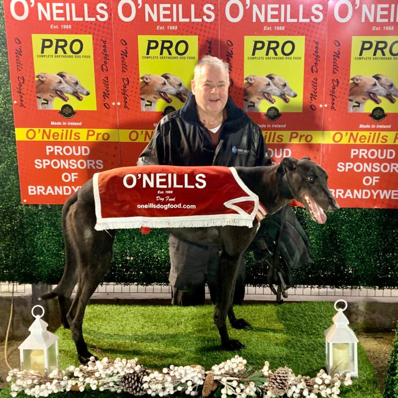 Derry Greyhounds: Connor and Mallon doubles at Brandywell