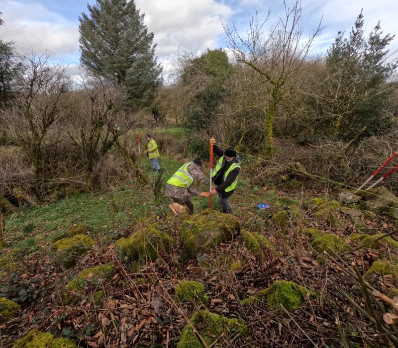 Survey started on March 11 by Queen's University Belfast archaeologists