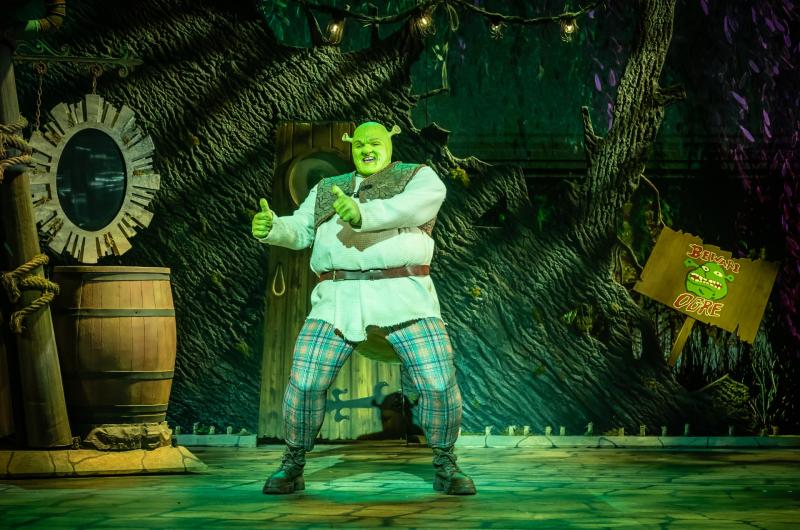 Everyone's favourite ogre an entertaining  night out for all ages