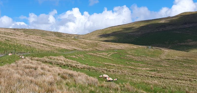 Sperrin area in County Derry