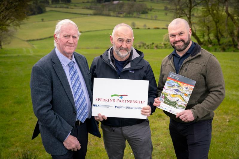 The Sperrins Partnership