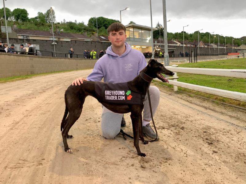Dreenan Jill lands the Greyhound Trader 500 at Derry's Brandywell