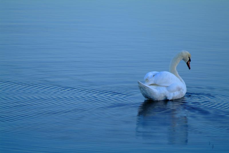 Public invited to share views on 10-Year Lough Neagh Resilience Plan