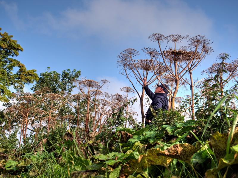 Loughs Agency urges invasives species action in Foyle catchment area
