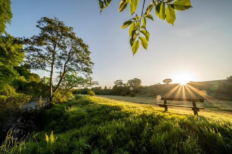 Brackfield sunrise - photo by Jill Jennings WTML